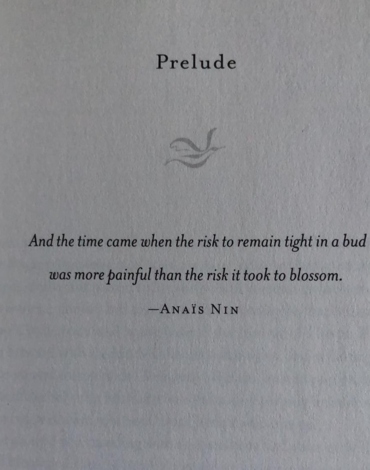 Nieuw opschuddend en terzake doend K.I.B. aanbod!