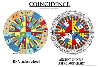 DNA coincedence I Tjing toeval