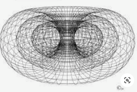 thorus wormhole