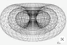 thorus wormhole